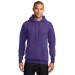 Preschool Sites-Adult Hooded Sweat Shirt - Left Chest Y Preschool w/ STAFF Back
