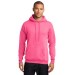 Preschool Sites-Adult Hooded Sweat Shirt - Left Chest Y Preschool w/ STAFF Back