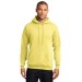 Preschool Sites-Adult Hooded Sweat Shirt - Left Chest Y Preschool w/ STAFF Back