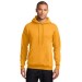 Preschool Sites-Adult Hooded Sweat Shirt - Left Chest Y Preschool w/ STAFF Back