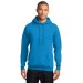 Preschool Sites-Adult Hooded Sweat Shirt - Left Chest Y Preschool w/ STAFF Back