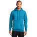 Preschool Sites-Adult Hooded Sweat Shirt - Left Chest Y Preschool w/ STAFF Back