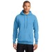 Preschool Sites-Adult Hooded Sweat Shirt - Left Chest Y Preschool w/ STAFF Back