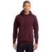 Preschool Sites-Adult Hooded Sweat Shirt - Left Chest Y Preschool w/ STAFF Back