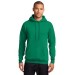 Preschool Sites-Adult Hooded Sweat Shirt - Left Chest Y Preschool w/ STAFF Back