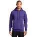 Preschool Sites-Adult Hooded Sweat Shirt - Left Chest Y Preschool w/ STAFF Back